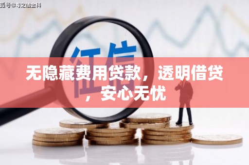 翼城无隐藏费用贷款，透明借贷，安心无忧