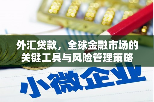 翼城外汇贷款，全球金融市场的关键工具与风险管理策略