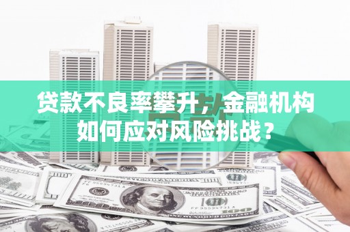 翼城贷款不良率攀升，金融机构如何应对风险挑战？