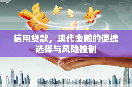 翼城信用贷款，现代金融的便捷选择与风险控制