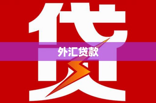 翼城外汇贷款