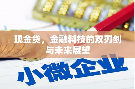 翼城现金贷，金融科技的双刃剑与未来展望