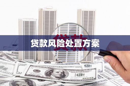 翼城贷款风险处置方案