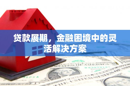 翼城贷款展期，金融困境中的灵活解决方案