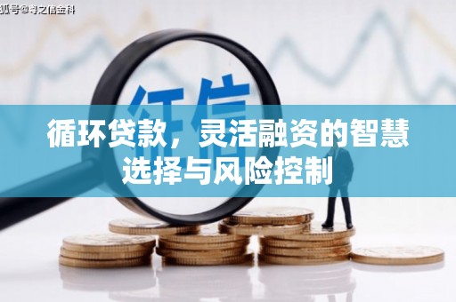 翼城循环贷款，灵活融资的智慧选择与风险控制