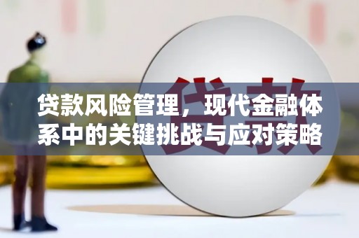 翼城贷款风险管理，现代金融体系中的关键挑战与应对策略
