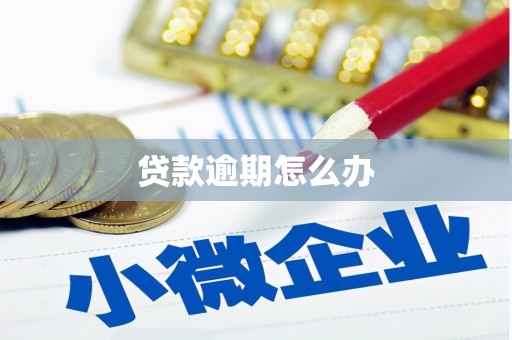 翼城贷款逾期怎么办
