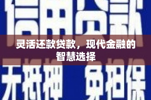 翼城灵活还款贷款，现代金融的智慧选择
