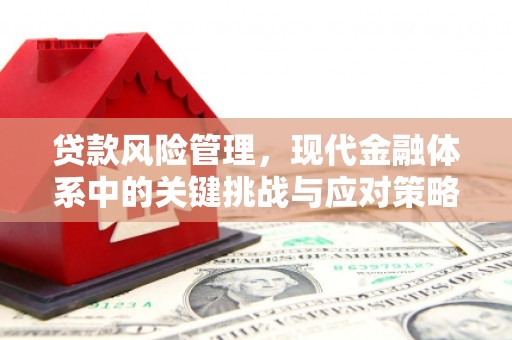 翼城贷款风险管理，现代金融体系中的关键挑战与应对策略
