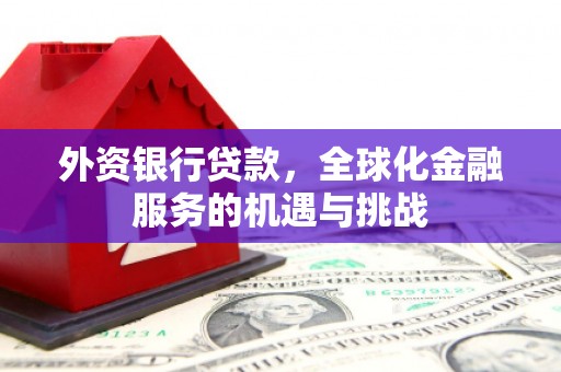 翼城外资银行贷款，全球化金融服务的机遇与挑战