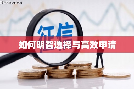 翼城如何明智选择与高效申请