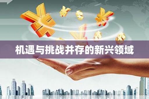 翼城机遇与挑战并存的新兴领域